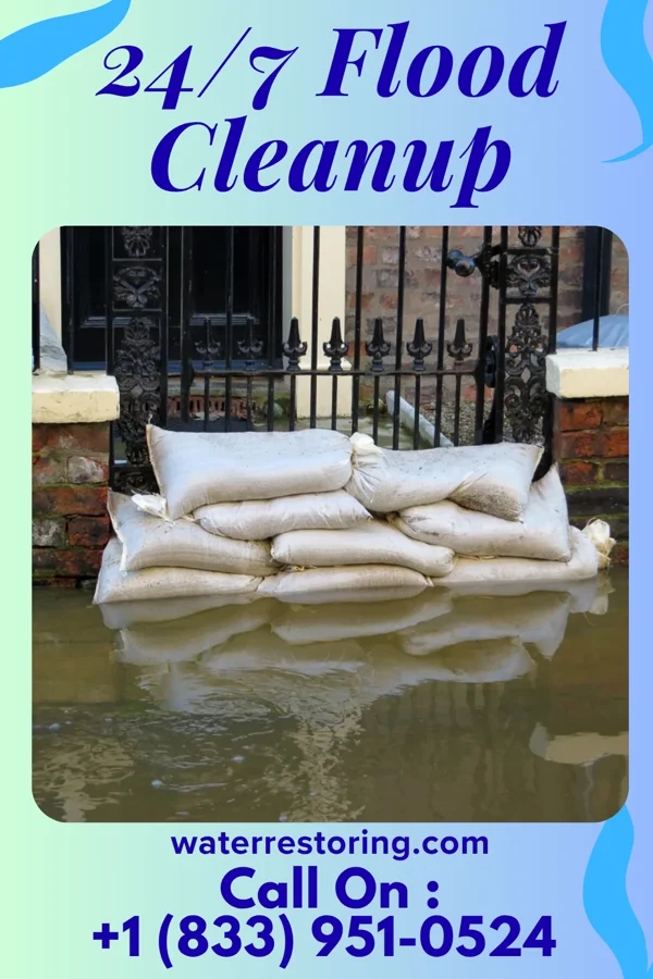 24/7 Flood Cleanup in Clarkton, NC