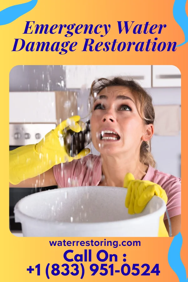 Emergency Water Damage Restoration in Clarkton, NC
