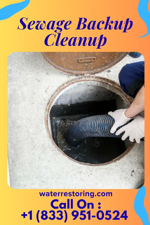 Sewage Backup Cleanup in Clarkton, NC