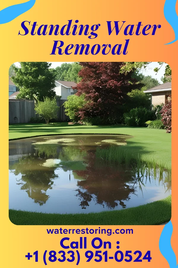 Standing Water Removal in Clarkton, NC